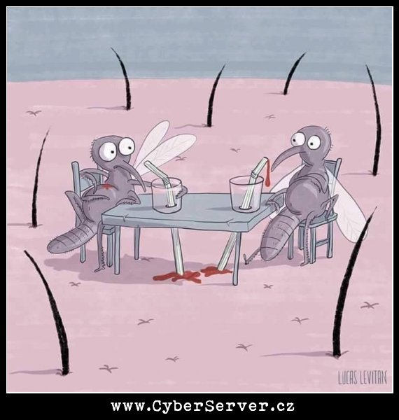 Komáři a hostina
