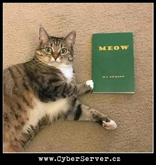 Kočky oblíbená kniha