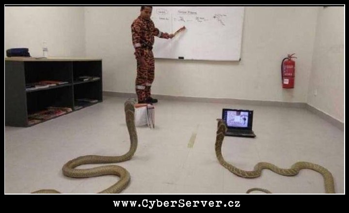 Hadi se musí také učit