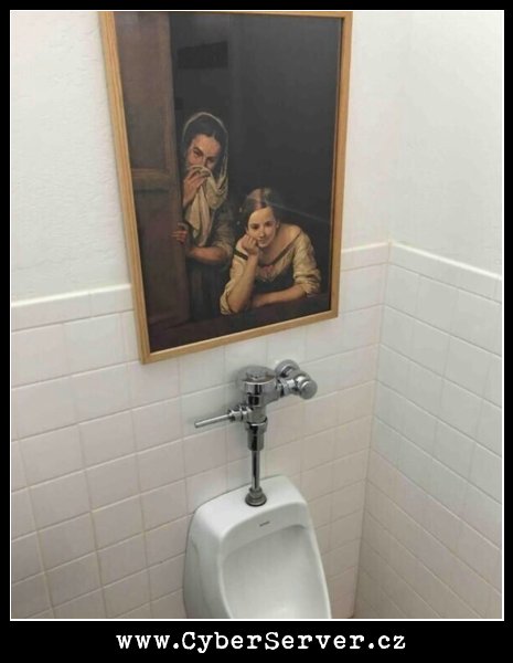 Ideální obraz na wc